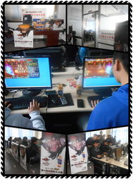 全國格斗大賽省賽首戰場館啟用先進網絡設備，助力賽事直播與銷售新機遇